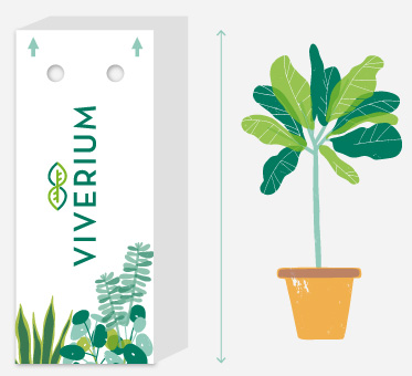 para todos los tamanos planta - Viverium